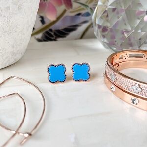 Park Lane Lana Earrings NWT. Periwinkle